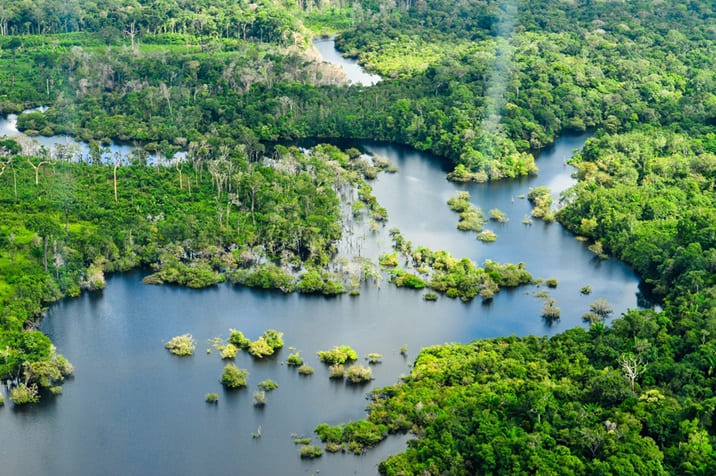 Ways to Help Protect the Amazon Rainforest